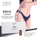 bsk10